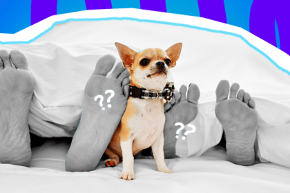 Humorvolle Collage zum Thema Haustiere und Intimsphäre: In der Mitte eines Bettes sitzt ein kleiner, farbiger Chihuahua mit einem schwarz-weiß karierten Halsband und blickt leicht irritiert und skeptisch nach vorne. Links und rechts neben dem Hund ragen jeweils zwei nackte Füße in Schwarz-Weiß unter einer weißen Bettdecke hervor. Weiße Fragezeichen-Icons und das Pop-Art-Motiv vor einem markanten blau-violetten Wellen-Hintergrund visualisieren pointiert den absoluten "Cringe"-Moment, die fehlende Privatsphäre und das klassische "Können wir den Hund bitte kurz raussperren?"-Gefühl während intimer Zweisamkeit im Schlafzimmer.