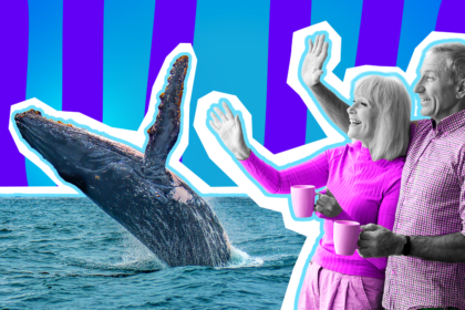 Humorvolle Collage zum Thema Tier-Hype und überenthusiastische Schaulustige: Auf der linken Seite springt ein riesiger, majestätischer Buckelwal in voller Farbe eindrucksvoll aus dem Ozean. Auf der rechten Seite steht ein älteres, fröhlich lächelndes Paar in Schwarz-Weiß, das dem Wal völlig begeistert zuwinkt. Die Frau trägt einen leuchtend pinkfarbenen Pullover, der Mann ein farblich passendes pink kariertes Hemd. Beide halten gemütlich pinke Kaffeetassen in der Hand. Das Pop-Art-Motiv vor einem markanten blau-violetten Wellen-Hintergrund visualisiert pointiert den absurden Kult, die mediale Ausschlachtung und die grenzenlose Euphorie der selbsternannten Walretter an der Ostseeküste.