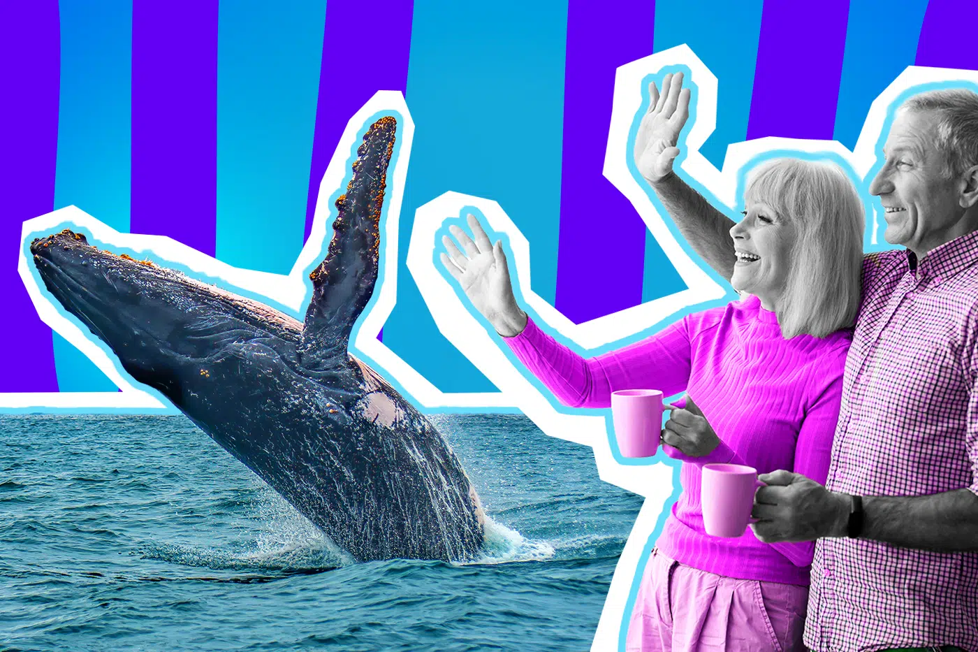 Humorvolle Collage zum Thema Tier-Hype und überenthusiastische Schaulustige: Auf der linken Seite springt ein riesiger, majestätischer Buckelwal in voller Farbe eindrucksvoll aus dem Ozean. Auf der rechten Seite steht ein älteres, fröhlich lächelndes Paar in Schwarz-Weiß, das dem Wal völlig begeistert zuwinkt. Die Frau trägt einen leuchtend pinkfarbenen Pullover, der Mann ein farblich passendes pink kariertes Hemd. Beide halten gemütlich pinke Kaffeetassen in der Hand. Das Pop-Art-Motiv vor einem markanten blau-violetten Wellen-Hintergrund visualisiert pointiert den absurden Kult, die mediale Ausschlachtung und die grenzenlose Euphorie der selbsternannten Walretter an der Ostseeküste.