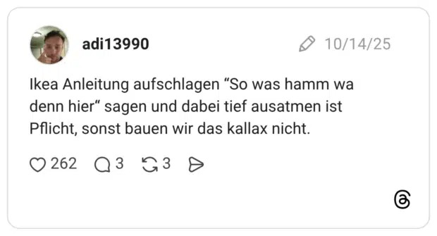 Ikea Anleitung aufschlagen “So was hamm wa denn hier“ sagen und dabei tief ausatmen ist Pflicht, sonst bauen wir das kallax nicht.