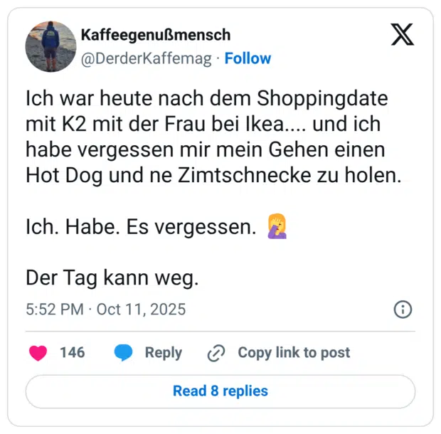 ch war heute nach dem Shoppingdate mit K2 mit der Frau bei Ikea.... und ich habe vergessen mir mein Gehen einen Hot Dog und ne Zimtschnecke zu holen. Ich. Habe. Es vergessen. 🤦‍♀️ Der Tag kann weg.