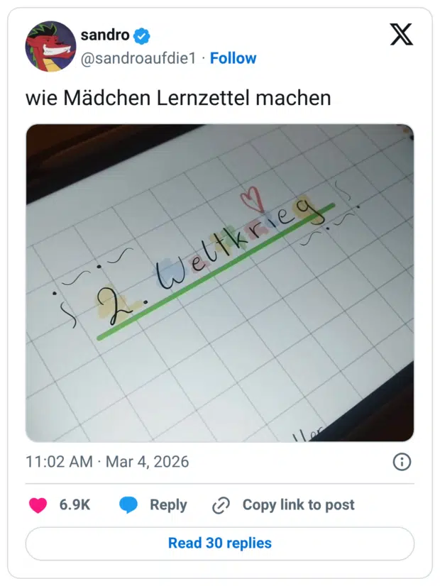wie Mädchen Lernzettel machen