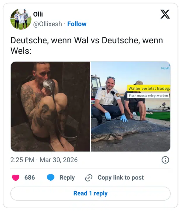 Deutsche, wenn Wal vs Deutsche, wenn Wels: