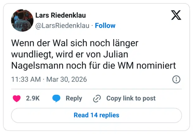 Wenn der Wal sich noch länger wundliegt, wird er von Julian Nagelsmann noch für die WM nominiert