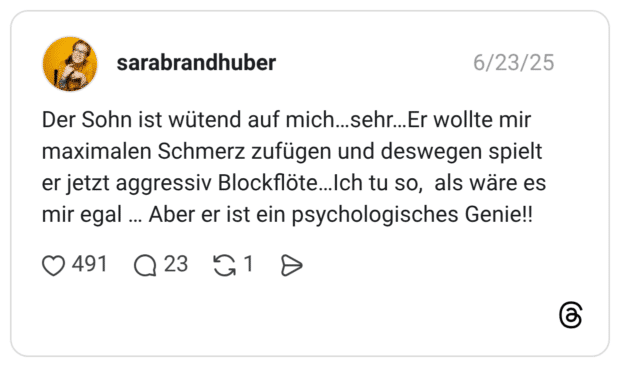 Der Sohn ist wütend auf mich…sehr…Er wollte mir maximalen Schmerz zufügen und deswegen spielt er jetzt aggressiv Blockflöte…Ich tu so, als wäre es mir egal … Aber er ist ein psychologisches Genie!!