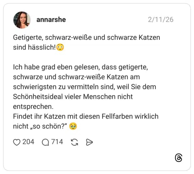 Getigerte, schwarz-weiße und schwarze Katzen sind hässlich!😳 Ich habe grad eben gelesen, dass getigerte, schwarze und schwarz-weiße Katzen am schwierigsten zu vermitteln sind, weil Sie dem Schönheitsideal vieler Menschen nicht entsprechen. Findet ihr Katzen mit diesen Fellfarben wirklich nicht „so schön?“ 🥹
