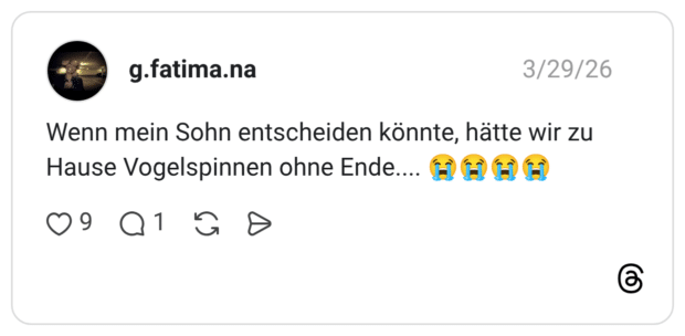 Wenn mein Sohn entscheiden könnte, hätte wir zu Hause Vogelspinnen ohne Ende.... 😭😭😭😭