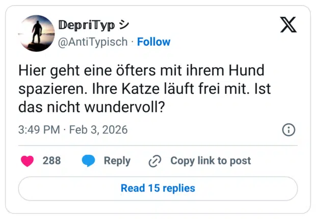 Hier geht eine öfters mit ihrem Hund spazieren. Ihre Katze läuft frei mit. Ist das nicht wundervoll?