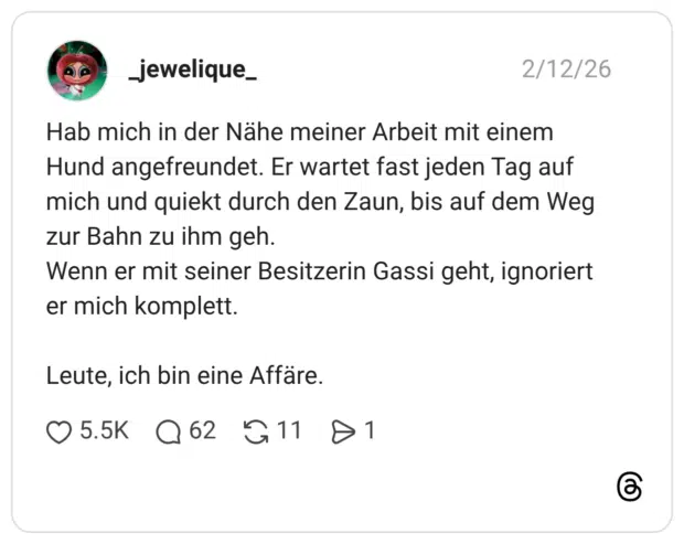 Hab mich in der Nähe meiner Arbeit mit einem Hund angefreundet. Er wartet fast jeden Tag auf mich und quiekt durch den Zaun, bis auf dem Weg zur Bahn zu ihm geh. Wenn er mit seiner Besitzerin Gassi geht, ignoriert er mich komplett. Leute, ich bin eine Affäre.
