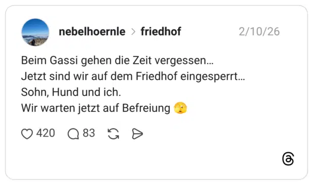 Beim Gassi gehen die Zeit vergessen… Jetzt sind wir auf dem Friedhof eingesperrt… Sohn, Hund und ich. Wir warten jetzt auf Befreiung 🫣