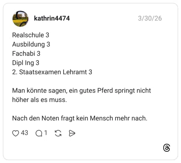 Realschule 3 Ausbildung 3 Fachabi 3 Dipl Ing 3 2. Staatsexamen Lehramt 3 Man könnte sagen, ein gutes Pferd springt nicht höher als es muss. Nach den Noten fragt kein Mensch mehr nach.