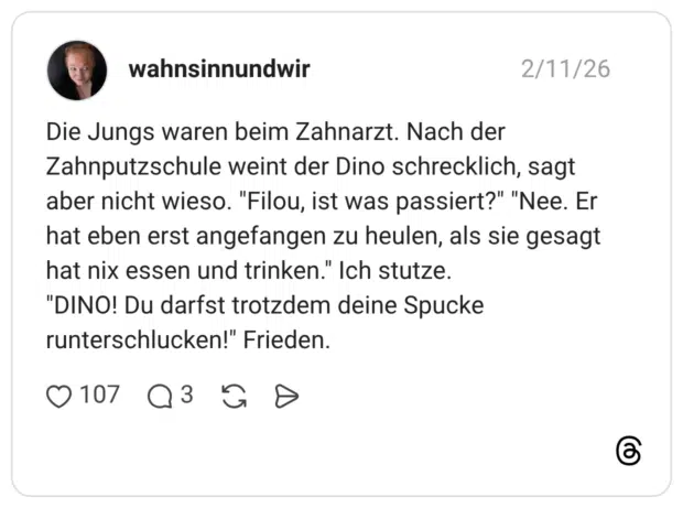 Die Jungs waren beim Zahnarzt. Nach der Zahnputzschule weint der Dino schrecklich, sagt aber nicht wieso. "Filou, ist was passiert?" "Nee. Er hat eben erst angefangen zu heulen, als sie gesagt hat nix essen und trinken." Ich stutze. "DINO! Du darfst trotzdem deine Spucke runterschlucken!" Frieden.