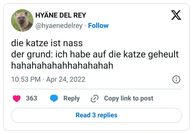 die katze ist nass der grund: ich habe auf die katze geheult hahahahahahhahahahah