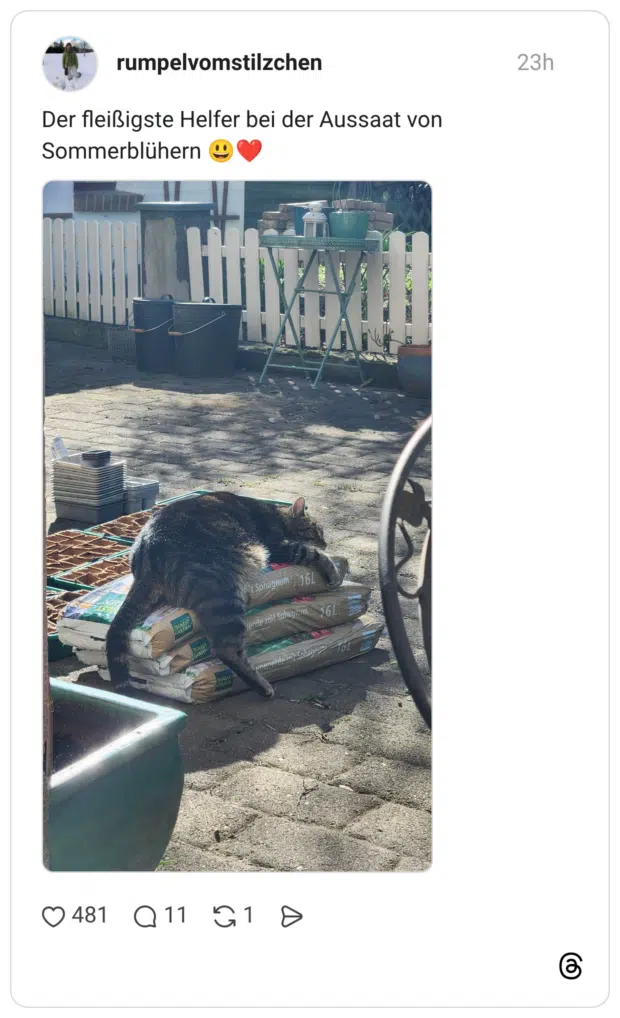 Der fleißigste Helfer bei der Aussaat von Sommerblühern 😃❤️