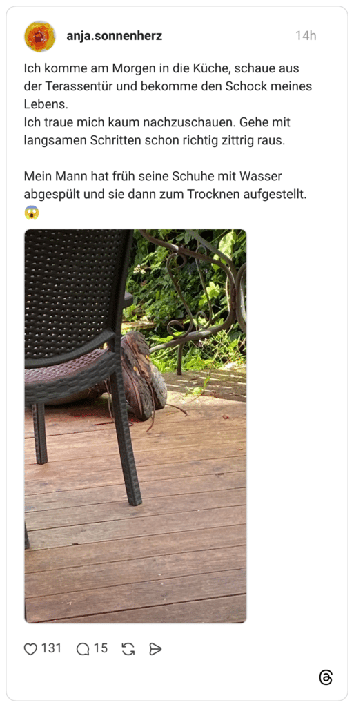 Ich komme am Morgen in die Küche, schaue aus der Terassentür und bekomme den Schock meines Lebens. Ich traue mich kaum nachzuschauen. Gehe mit langsamen Schritten schon richtig zittrig raus. Mein Mann hat früh seine Schuhe mit Wasser abgespült und sie dann zum Trocknen aufgestellt. 😱