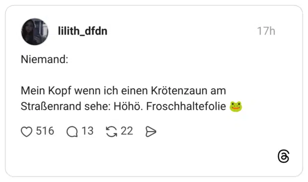 Niemand: Mein Kopf wenn ich einen Krötenzaun am Straßenrand sehe: Höhö. Froschhaltefolie 🐸