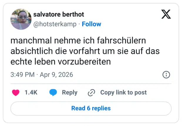 manchmal nehme ich fahrschülern absichtlich die vorfahrt um sie auf das echte leben vorzubereiten