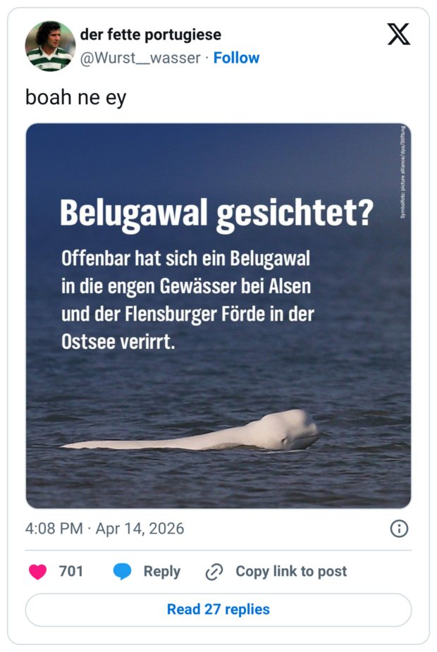 boah ne ey Belugawal gesichtet?