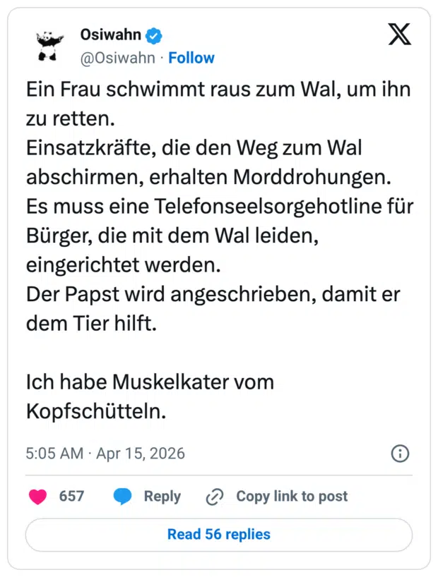 Ein Frau schwimmt raus zum Wal, um ihn zu retten. Einsatzkräfte, die den Weg zum Wal abschirmen, erhalten Morddrohungen. Es muss eine Telefonseelsorgehotline für Bürger, die mit dem Wal leiden, eingerichtet werden. Der Papst wird angeschrieben, damit er dem Tier hilft. Ich habe Muskelkater vom Kopfschütteln.