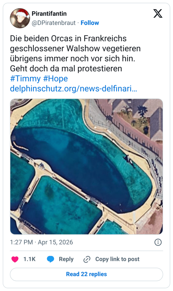 Die beiden Orcas in Frankreichs geschlossener Walshow vegetieren übrigens immer noch vor sich hin. Geht doch da mal protestieren #Timmy #Hope