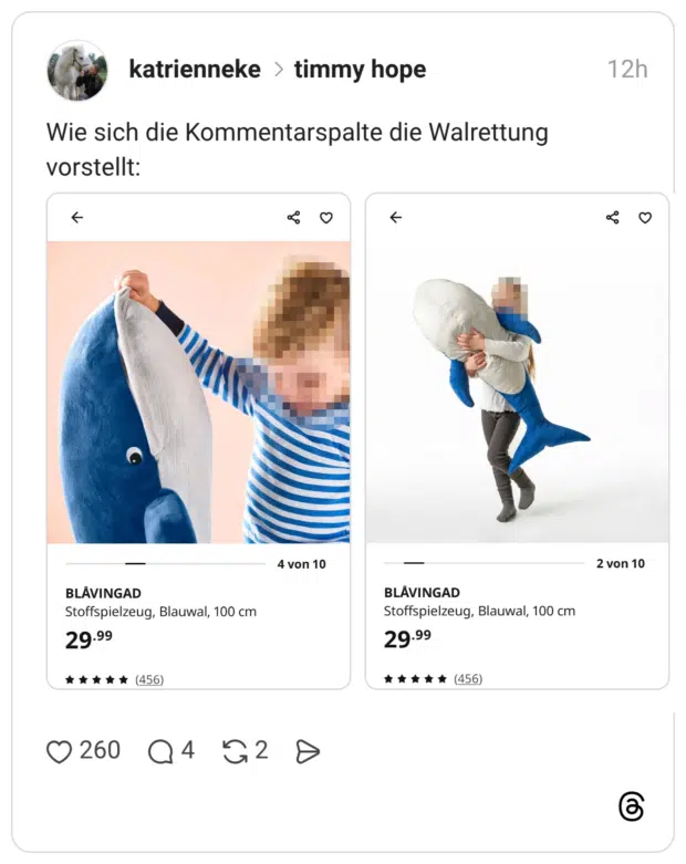 Wie sich die Kommentarspalte die Walrettung vorstellt: