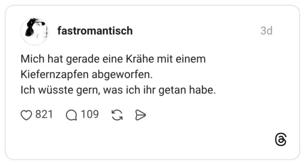 Mich hat gerade eine Krähe mit einem Kiefernzapfen abgeworfen. Ich wüsste gern, was ich ihr getan habe.