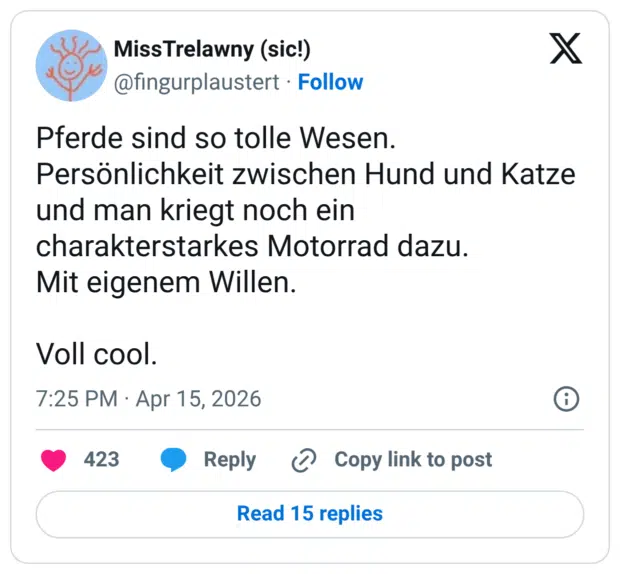Pferde sind so tolle Wesen. Persönlichkeit zwischen Hund und Katze und man kriegt noch ein charakterstarkes Motorrad dazu. Mit eigenem Willen. Voll cool.