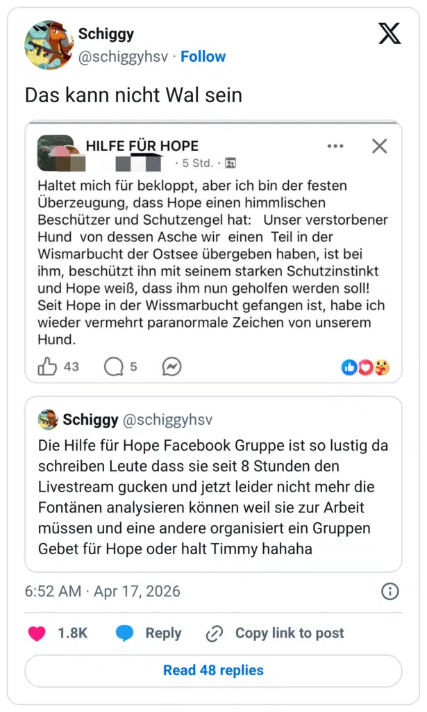 Das kann nicht Wal sein