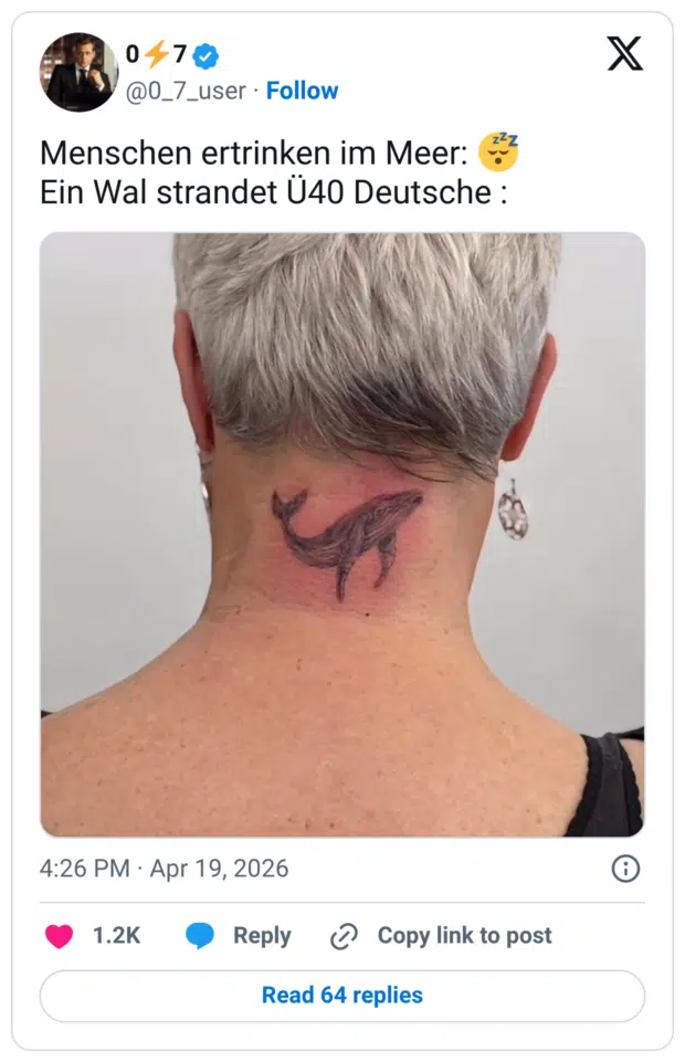 Menschen ertrinken im Meer: Ein Wal strandet Ü40 Deutsche :