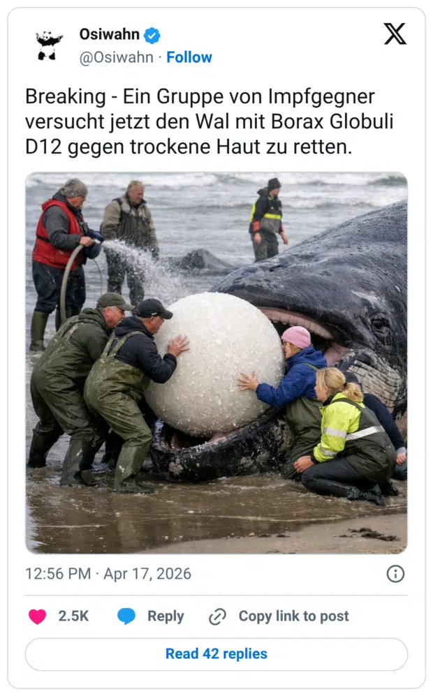 Ein Gruppe von Impfgegner versucht jetzt den Wal mit Borax Globuli D12 gegen trockene Haut zu retten.