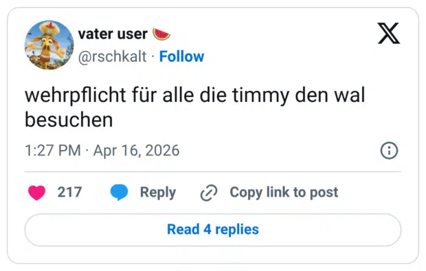 wehrpflicht für alle die timmy den wal besuchen