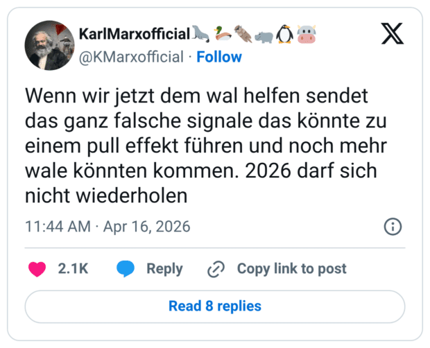 Wenn wir jetzt dem wal helfen sendet das ganz falsche signale das könnte zu einem pull effekt führen und noch mehr wale könnten kommen. 2026 darf sich nicht wiederholen 1