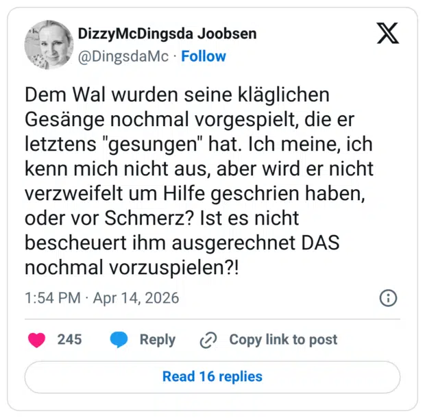 Dem Wal wurden seine kläglichen Gesänge nochmal vorgespielt, die er letztens "gesungen" hat. Ich meine, ich kenn mich nicht aus, aber wird er nicht verzweifelt um Hilfe geschrien haben, oder vor Schmerz? Ist es nicht bescheuert ihm ausgerechnet DAS nochmal vorzuspielen?!