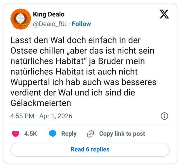 Lasst den Wal doch einfach in der Ostsee chillen „aber das ist nicht sein natürliches Habitat" ja Bruder mein natürliches Habitat ist auch nicht Wuppertal ich hab auch was besseres verdient der Wal und ich sind die Gelackmeierten