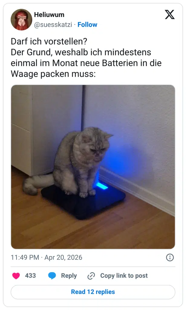 Darf ich vorstellen? Der Grund, weshalb ich mindestens einmal im Monat neue Batterien in die Waage packen muss: