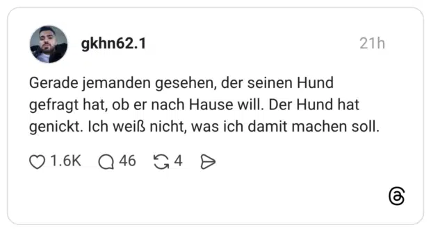 Gerade jemanden gesehen, der seinen Hund gefragt hat, ob er nach Hause will. Der Hund hat genickt. Ich weiß nicht, was ich damit machen soll.