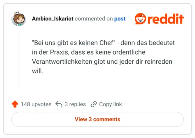 "Bei uns gibt es keinen Chef" - denn das bedeutet in der Praxis, dass es keine ordentliche Verantwortlichkeiten gibt und jeder dir reinreden will.