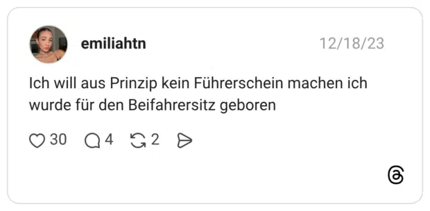 Ich will aus Prinzip kein Führerschein machen ich wurde für den Beifahrersitz geboren
