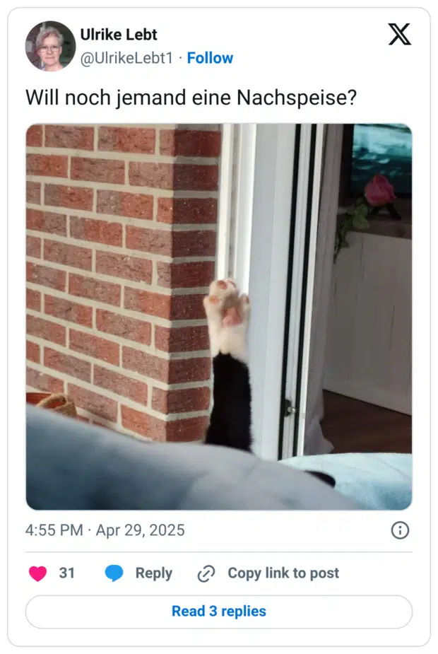 Will noch jemand eine Nachspeise?