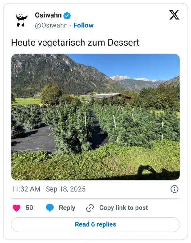 Heute vegetarisch zum Dessert