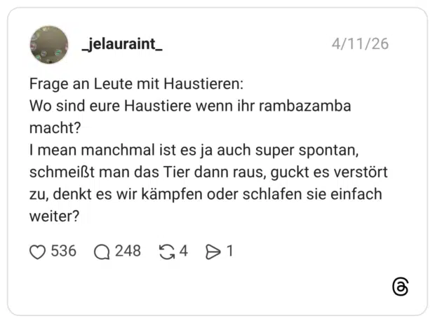 Frage an Leute mit Haustieren: Wo sind eure Haustiere wenn ihr rambazamba macht? I mean manchmal ist es ja auch super spontan, schmeißt man das Tier dann raus, guckt es verstört zu, denkt es wir kämpfen oder schlafen sie einfach weiter?