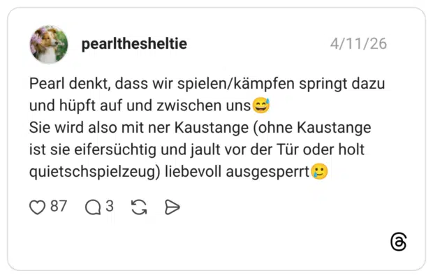 Pearl denkt, dass wir spielen/kämpfen springt dazu und hüpft auf und zwischen uns😅 Sie wird also mit ner Kaustange (ohne Kaustange ist sie eifersüchtig und jault vor der Tür oder holt quietschspielzeug) liebevoll ausgesperrt🥲