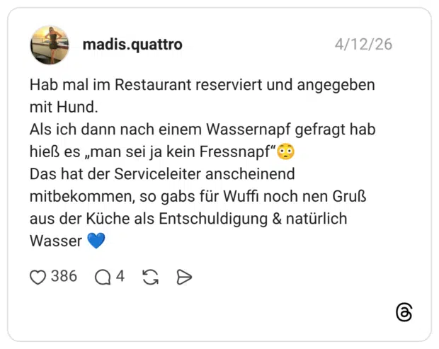 Hab mal im Restaurant reserviert und angegeben mit Hund. Als ich dann nach einem Wassernapf gefragt hab hieß es „man sei ja kein Fressnapf“😳 Das hat der Serviceleiter anscheinend mitbekommen, so gabs für Wuffi noch nen Gruß aus der Küche als Entschuldigung & natürlich Wasser 💙