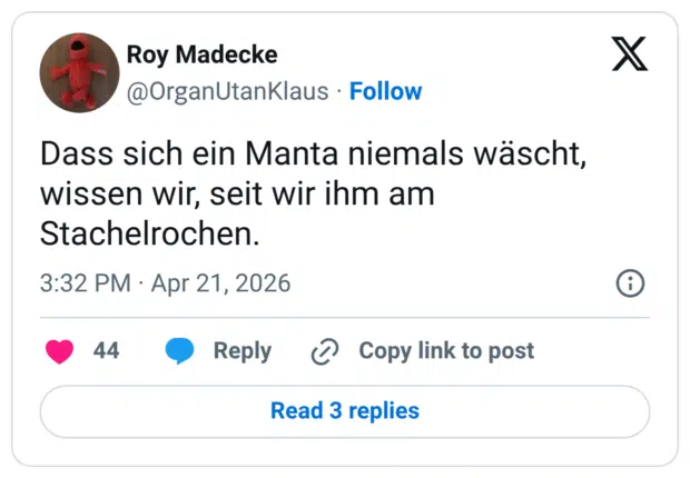 Dass sich ein Manta niemals wäscht, wissen wir, seit wir ihm am Stachelrochen.
