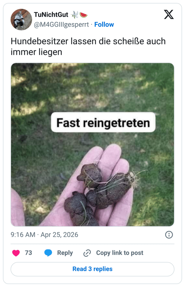 Hundebesitzer lassen die scheiße auch immer liegen