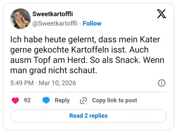 Ich habe heute gelernt, dass mein Kater gerne gekochte Kartoffeln isst. Auch ausm Topf am Herd. So als Snack. Wenn man grad nicht schaut.