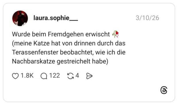 Wurde beim Fremdgehen erwischt 🥀 (meine Katze hat von drinnen durch das Terassenfenster beobachtet, wie ich die Nachbarskatze gestreichelt habe)