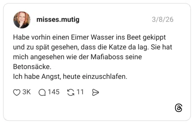Habe vorhin einen Eimer Wasser ins Beet gekippt und zu spät gesehen, dass die Katze da lag. Sie hat mich angesehen wie der Mafiaboss seine Betonsäcke. Ich habe Angst, heute einzuschlafen.