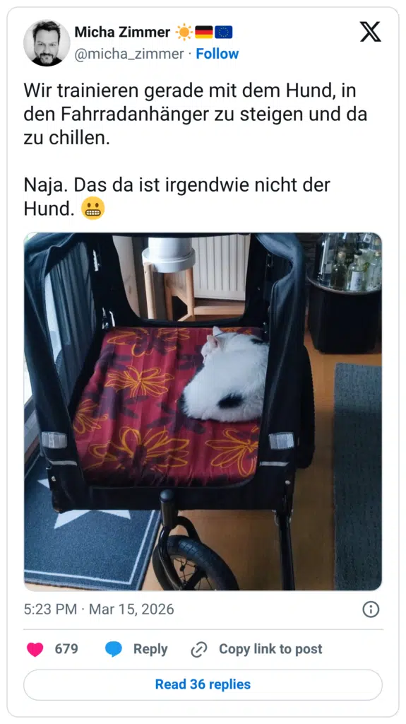 Wir trainieren gerade mit dem Hund, in den Fahrradanhänger zu steigen und da zu chillen. Naja. Das da ist irgendwie nicht der Hund. 😬