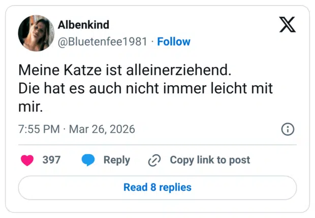 Meine Katze ist alleinerziehend. Die hat es auch nicht immer leicht mit mir.
